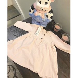 Girl’s (3-6 months) Little Light Pink Dress